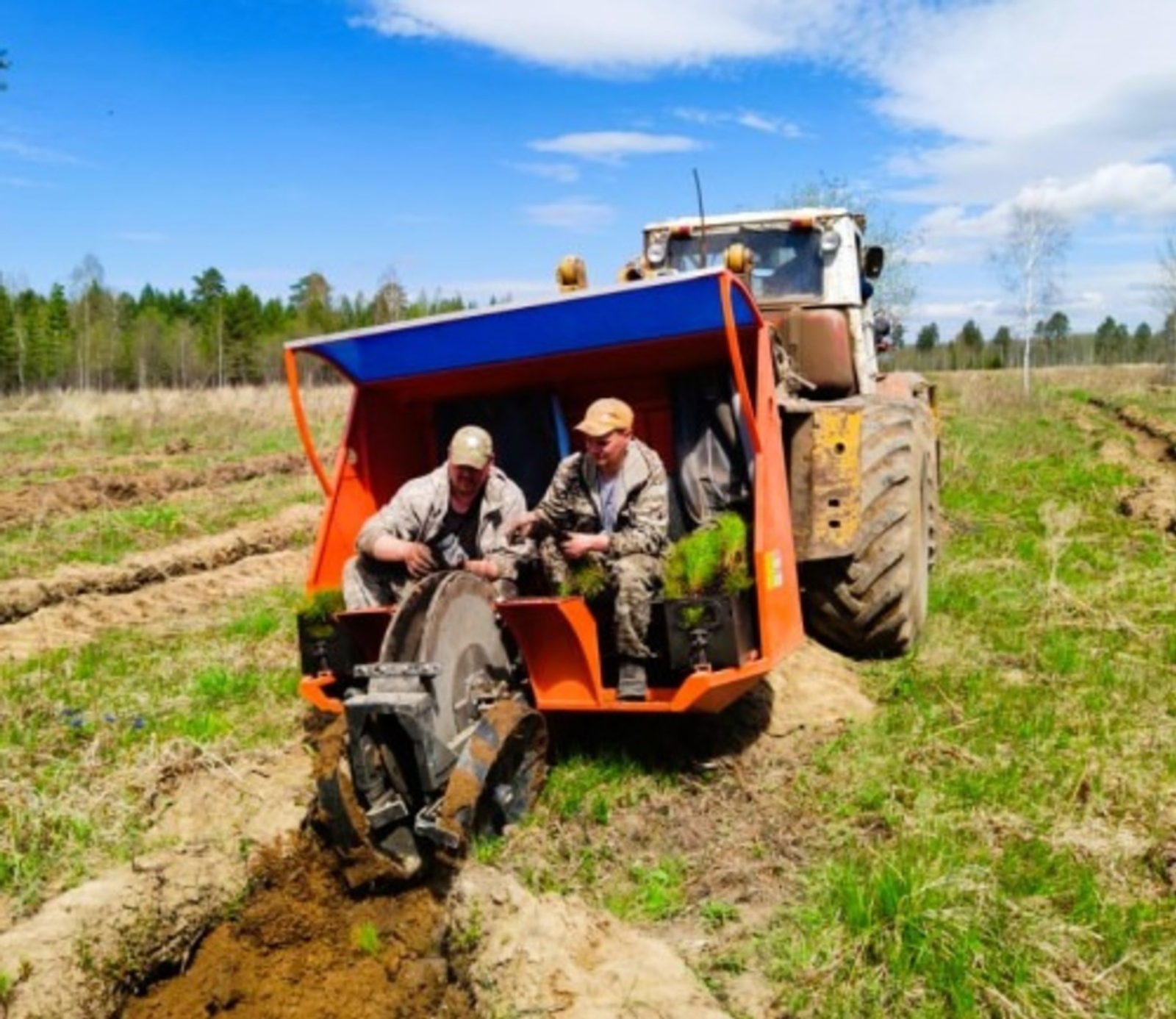 В Башкирии более 5 тысяч гектаров засадили молодыми деревьями