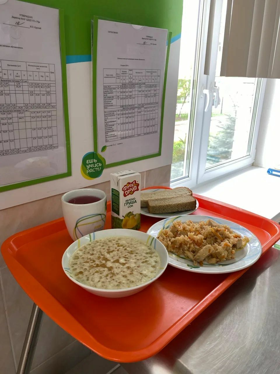 Общественная палата Башкирии начала опрос родителей учеников начальной школы