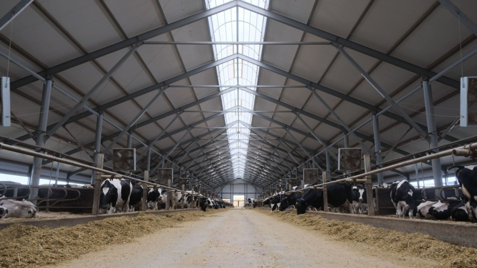 В Башкирии откроются пять современных молочных ферм