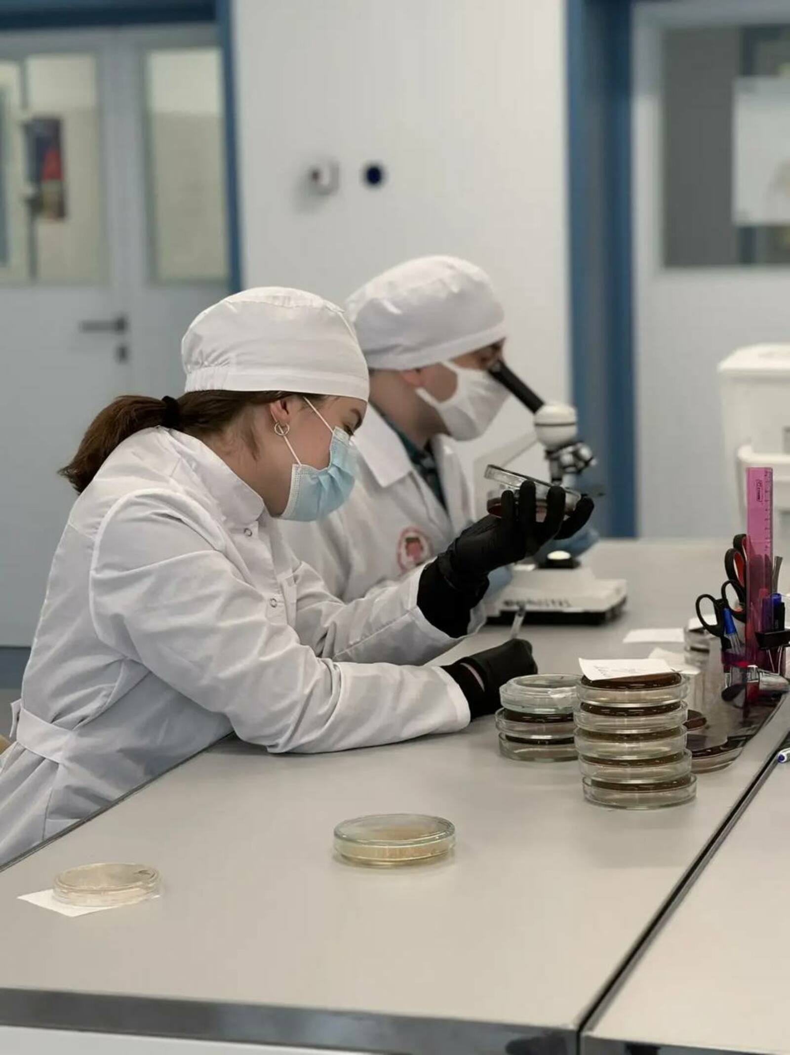 В Межвузовском кампусе создали тест-систему для быстрого обнаружения "бактерии