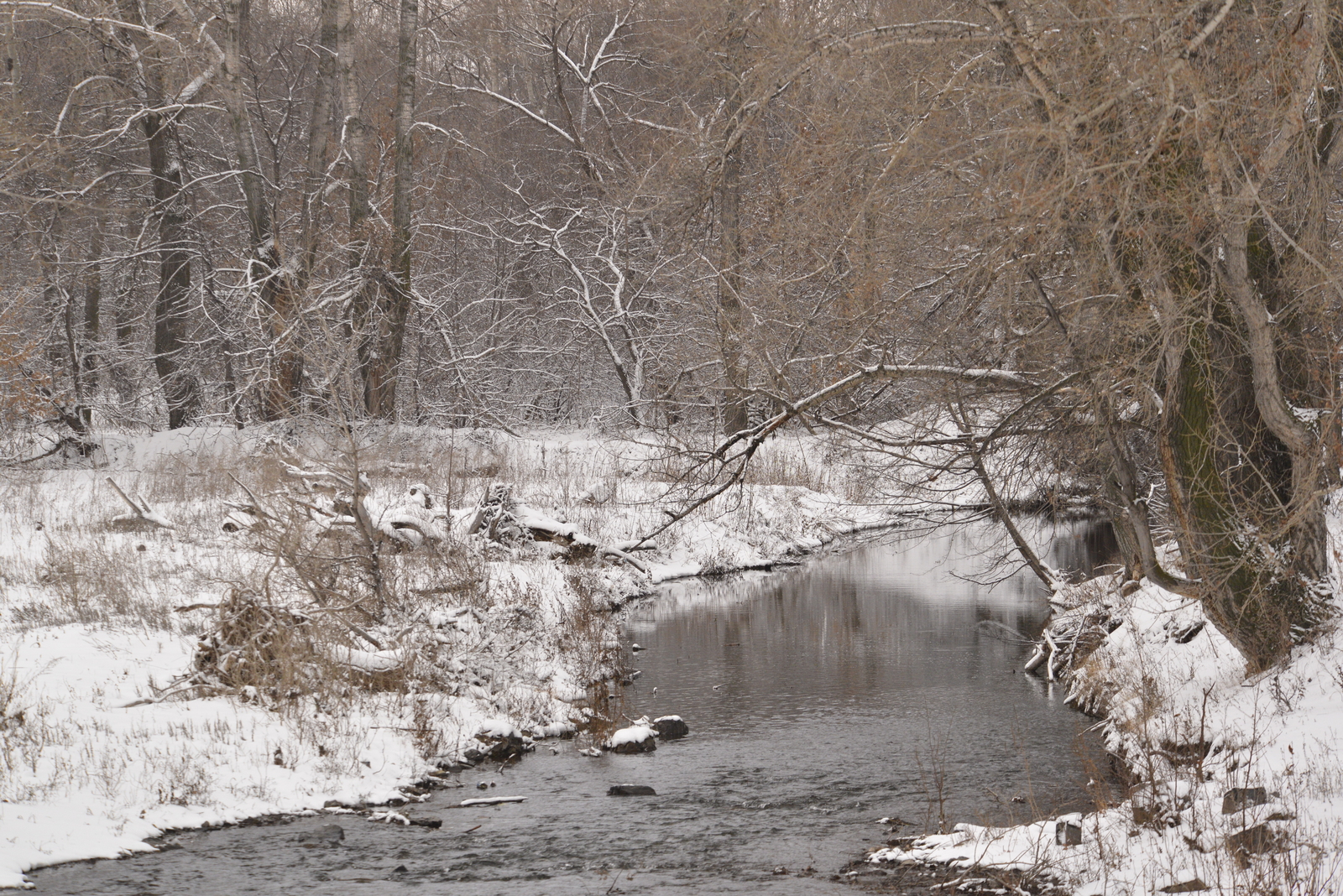 В Башкирии дали неожиданный прогноз на март