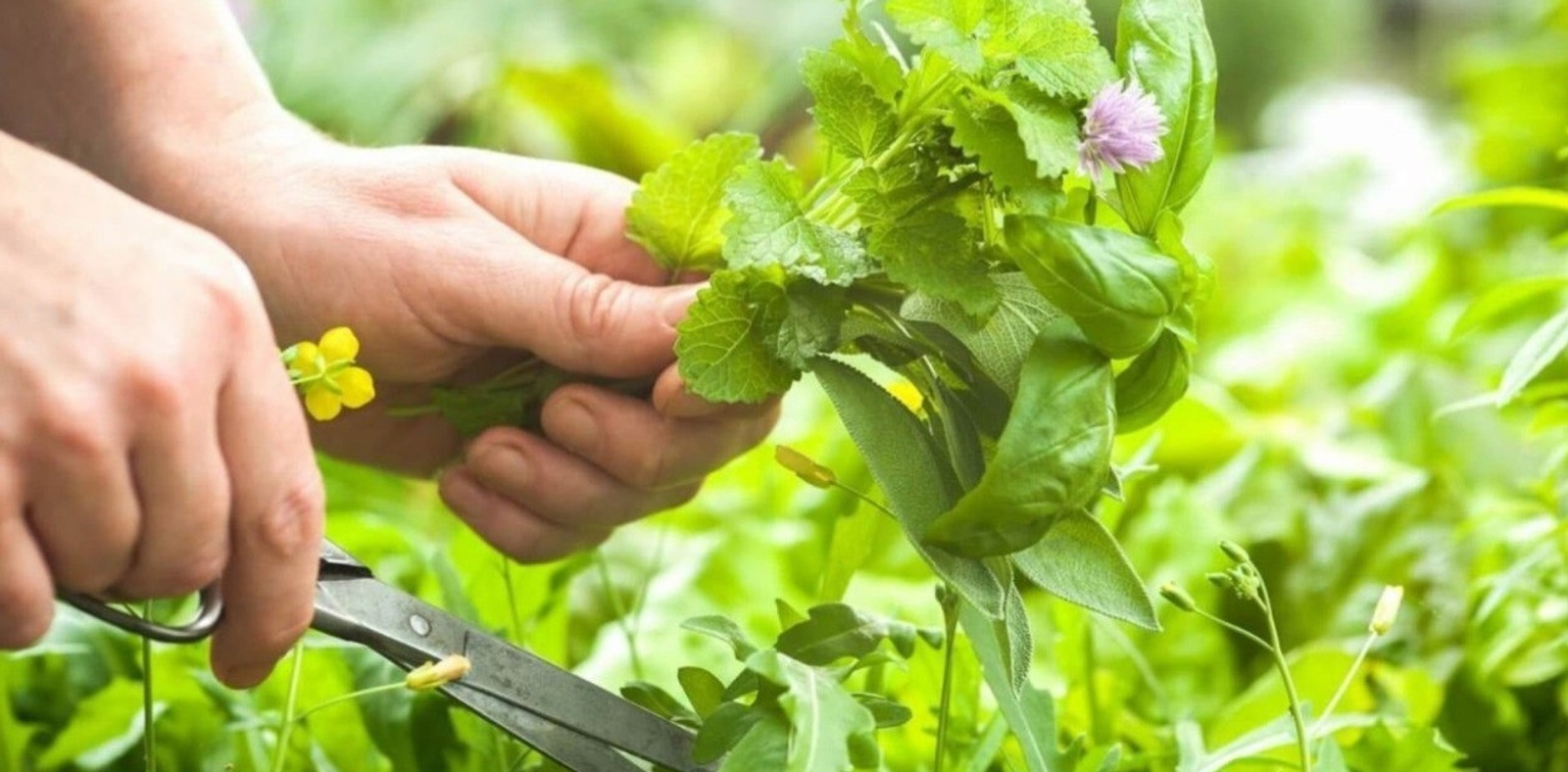 Дети Башкирии проводят акцию в поддержку участников СВО