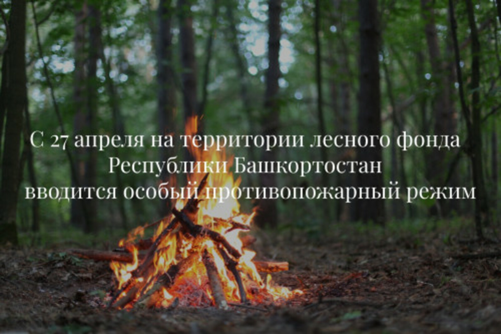 С 27 апреля в лесах Республики Башкортостан будет действовать специальный режим для предотвращения пожаров.