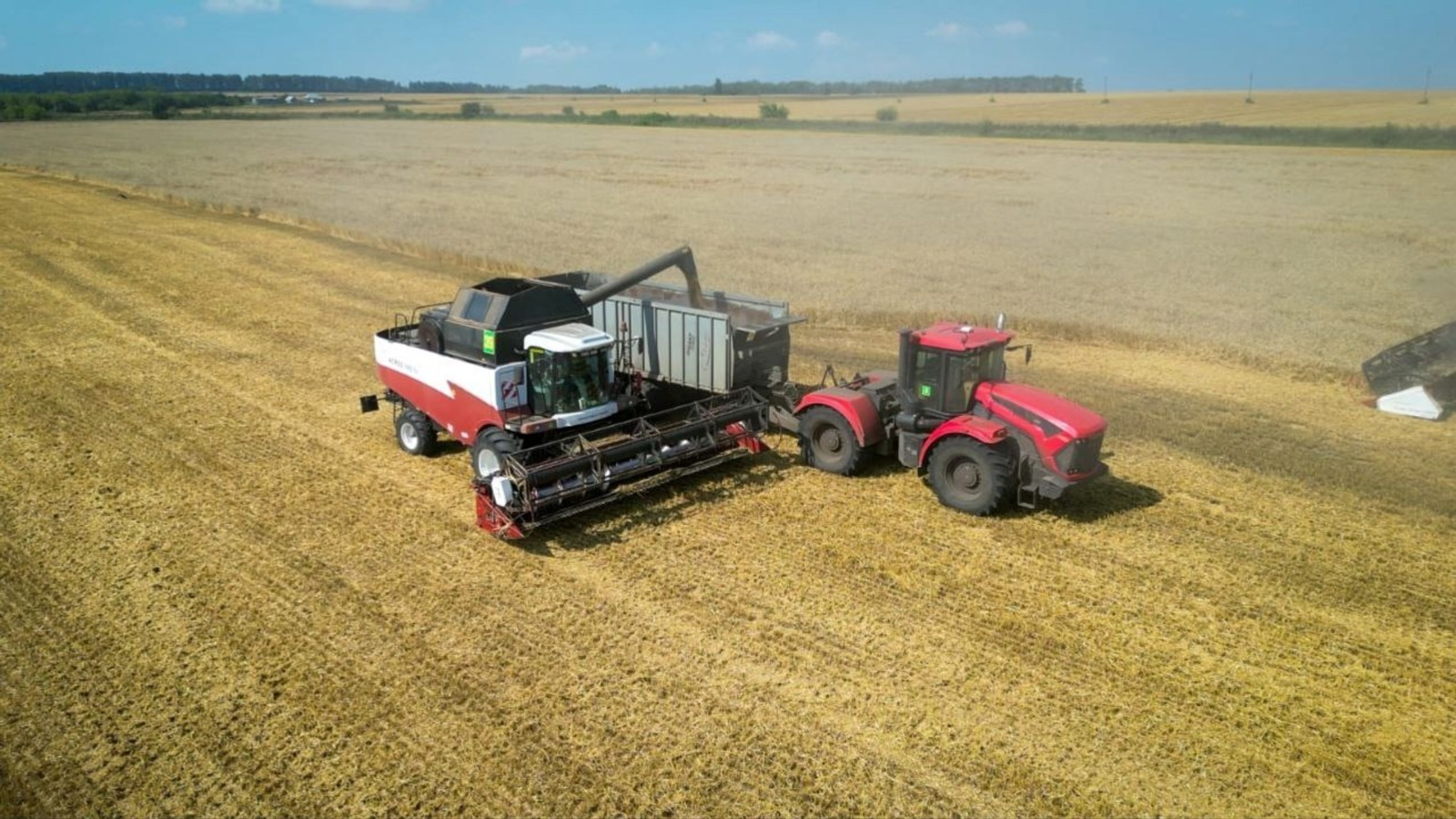 В Башкирии вырос экспорт зерна в другие регионы России