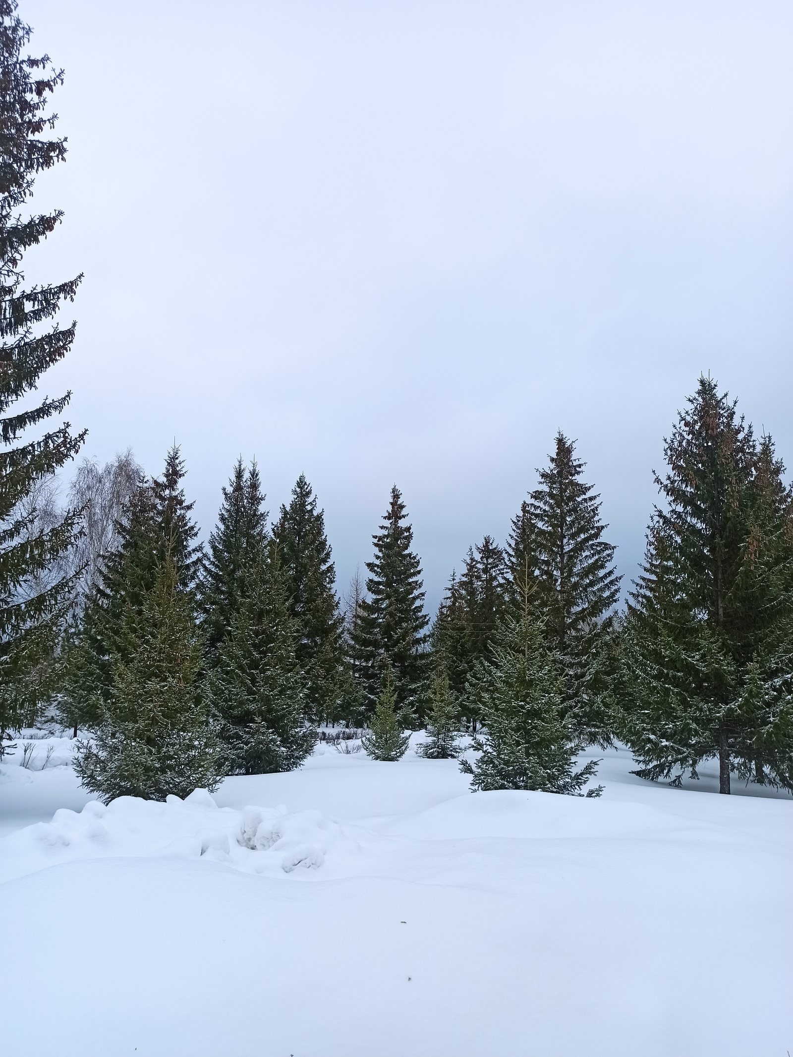 Когда в Башкирию придет оттепель