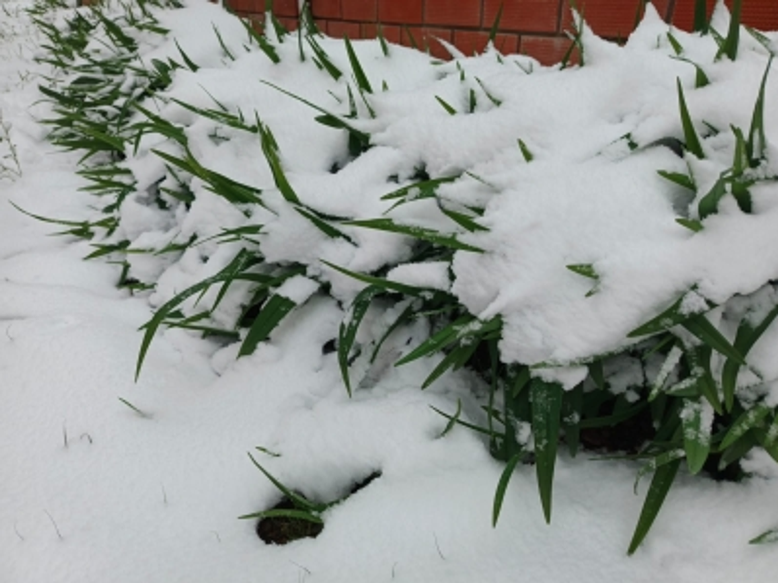 В Башкирии резко похолодает