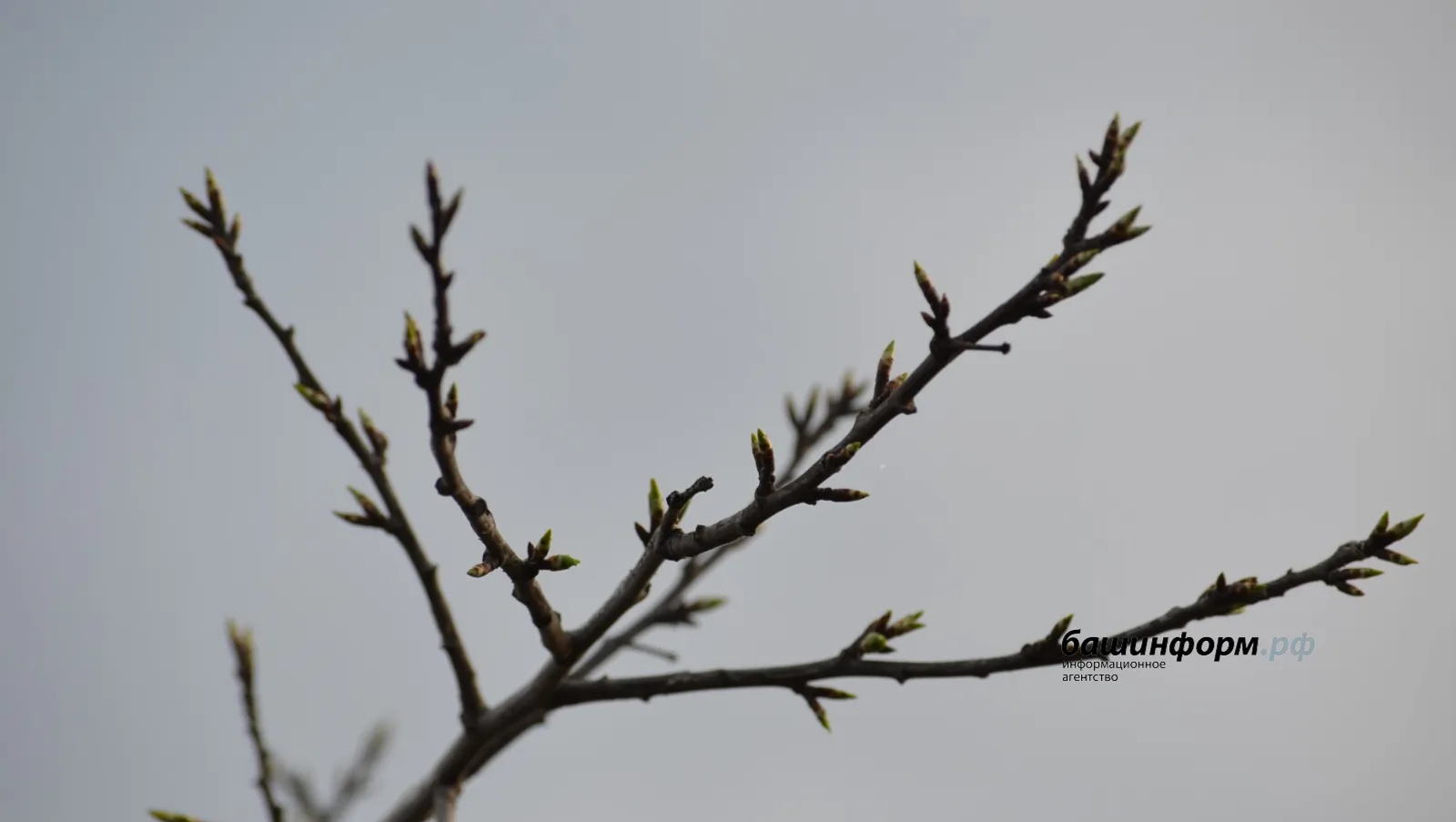 В Башкирии резко похолодает