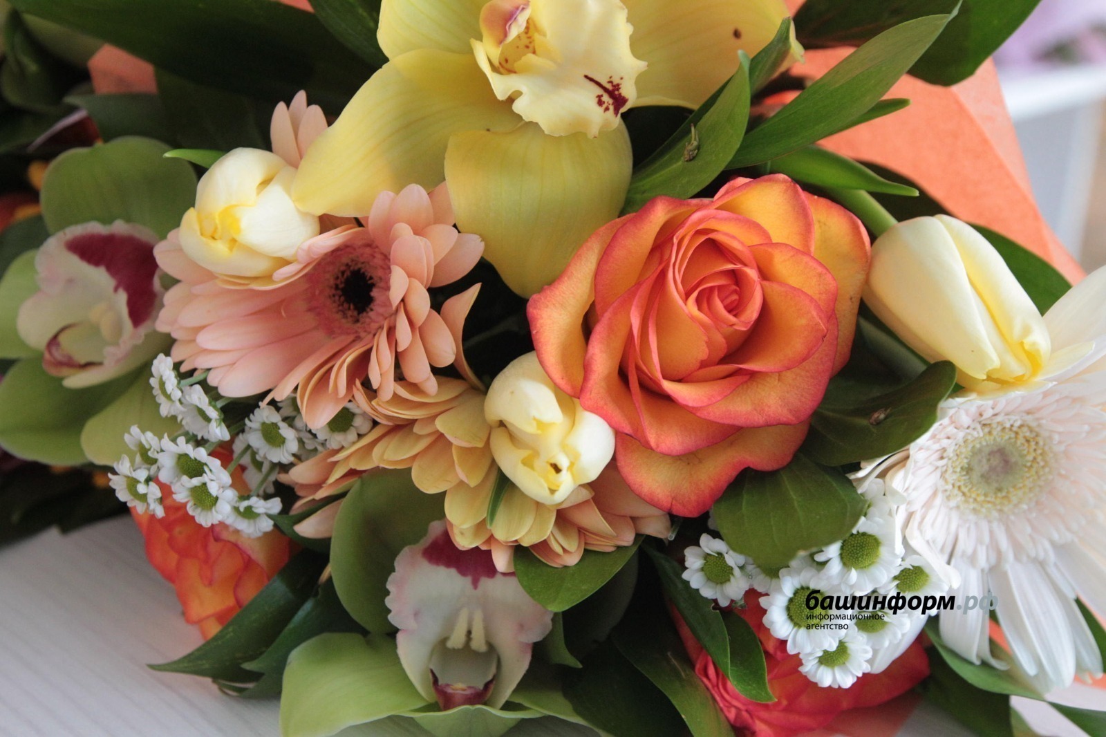 Четыре семьи из Башкирии получат медаль «Родительская доблесть»