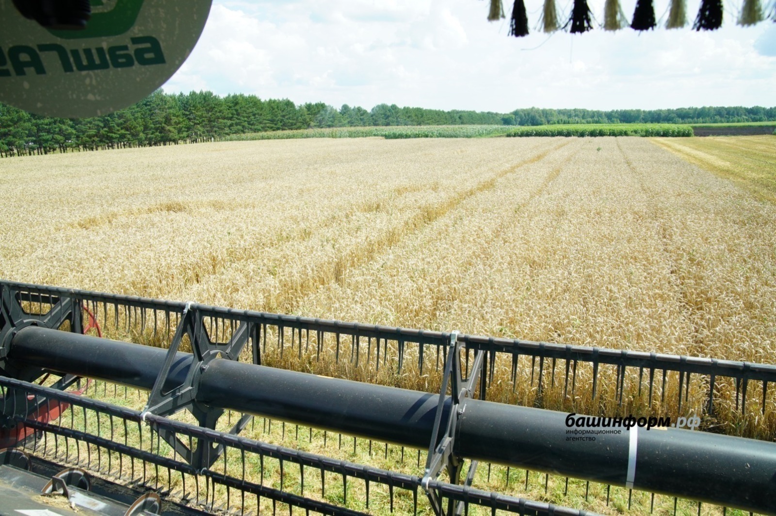 Агрострахование в Башкирии получило господдержку свыше 214 млн рублей