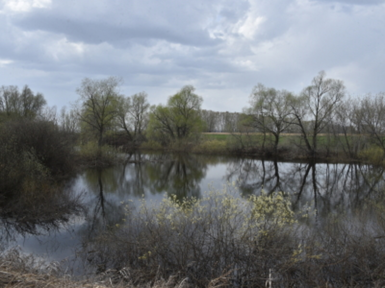 Погода в Башкирии удивит жителей в апреле