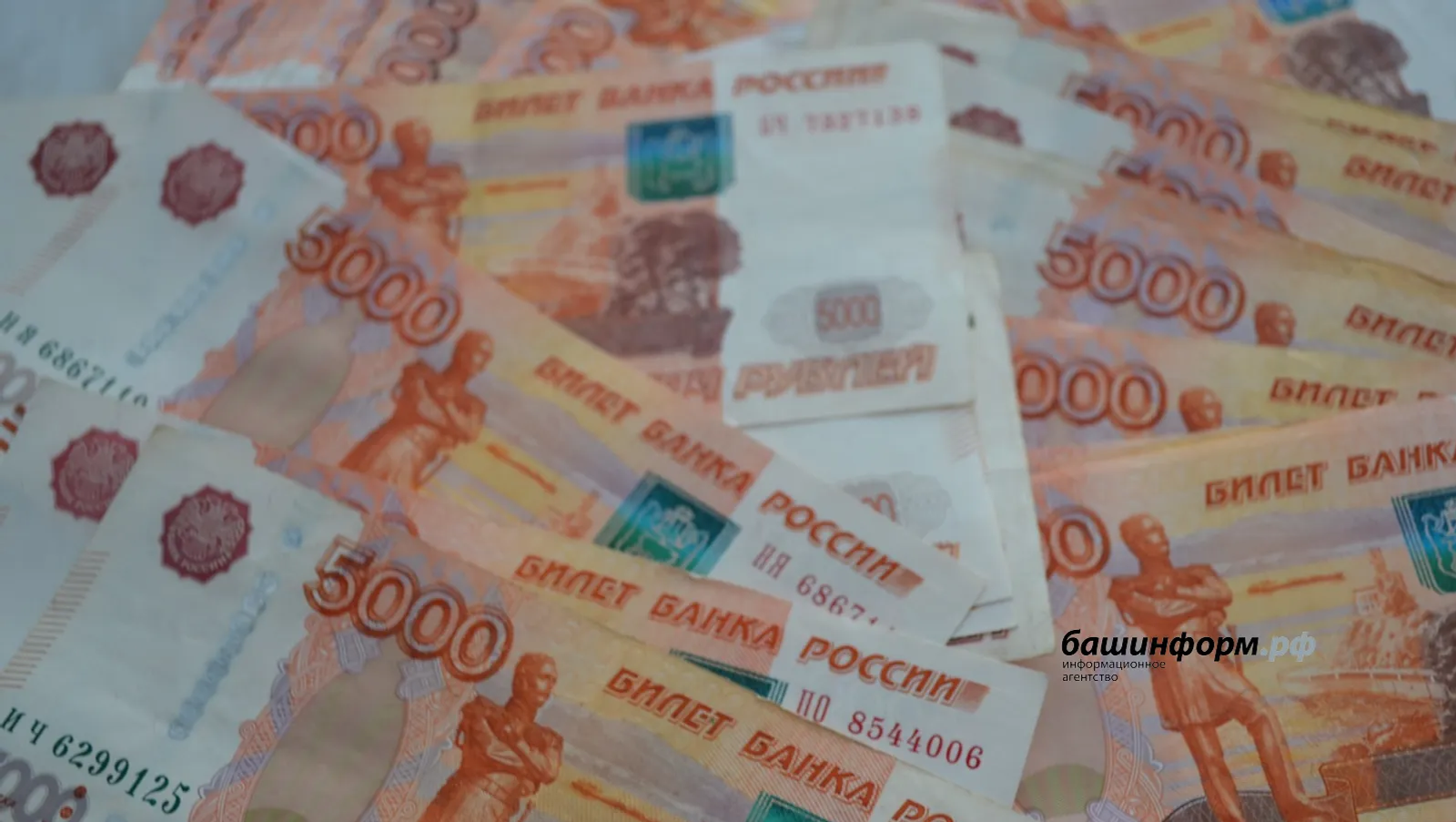 Житель Башкирии предстанет перед судом за мошенничество с соцвыплатами