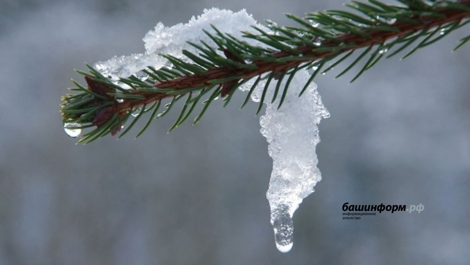 Какая погода будет в марте в Башкирии