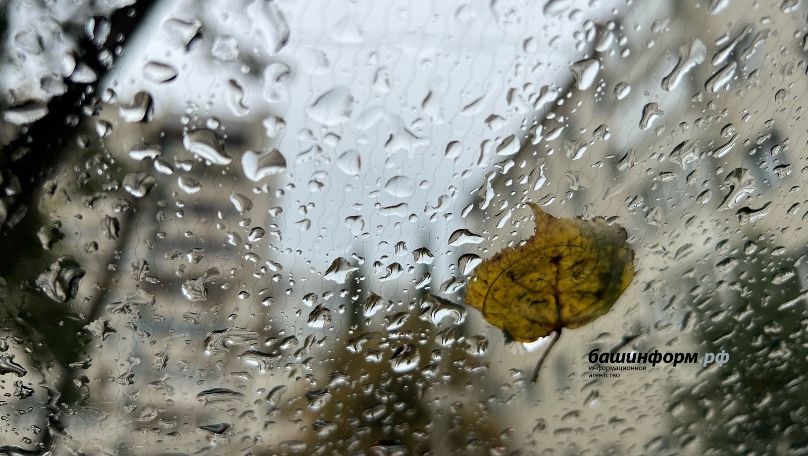 Какая будет погода в Башкирии на выходных