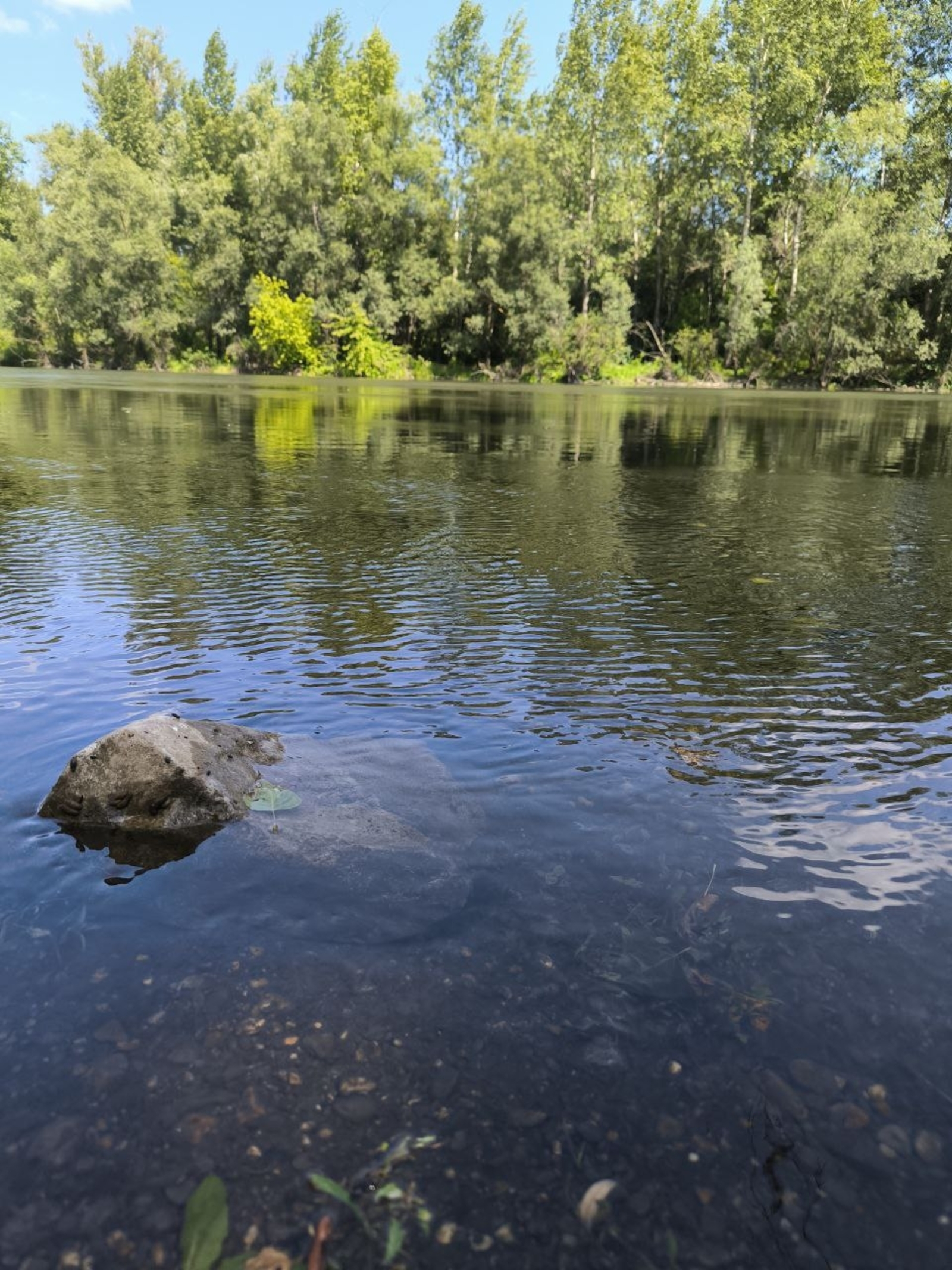 В Башкирии резко потеплеет