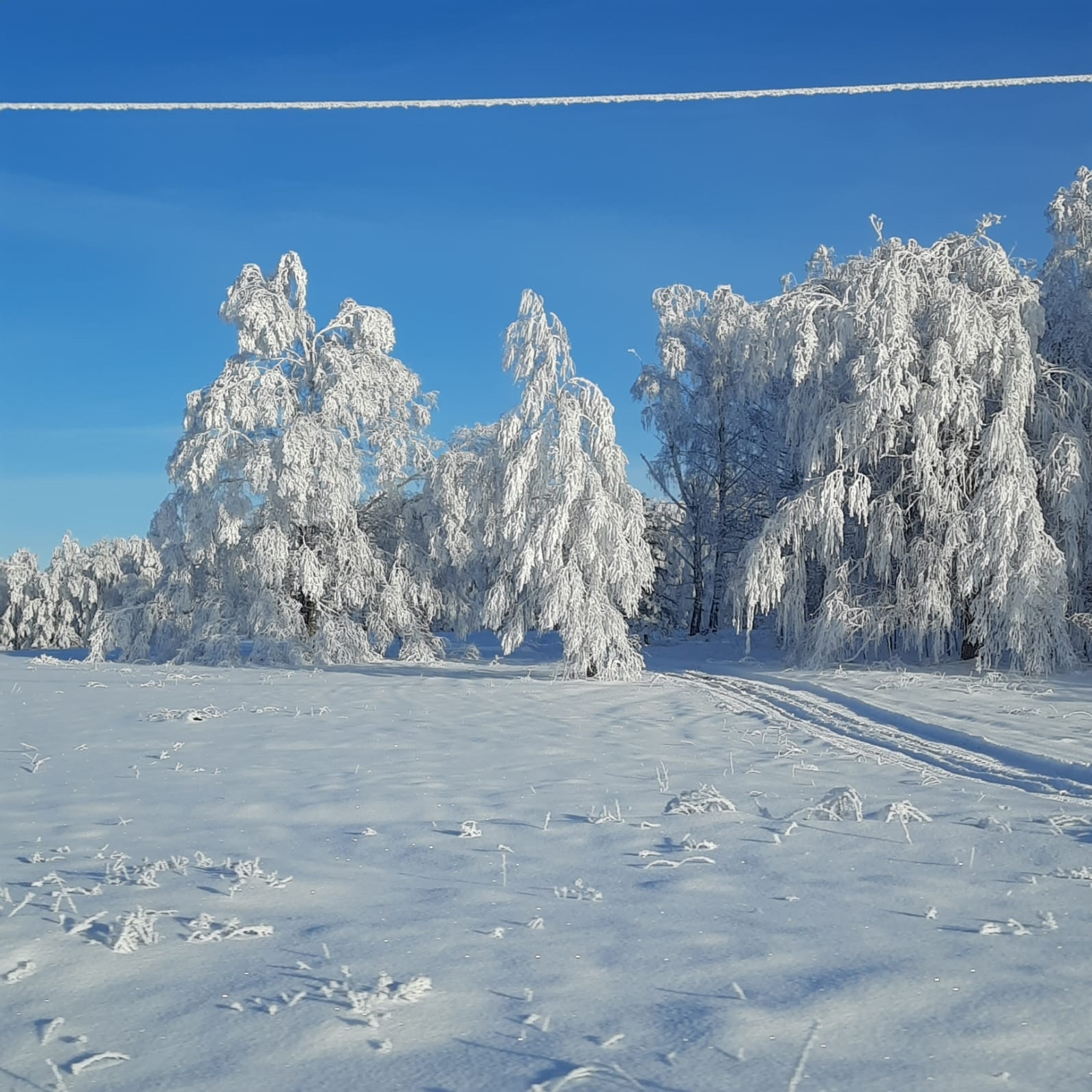 В Башкирии скоро выпадет снег