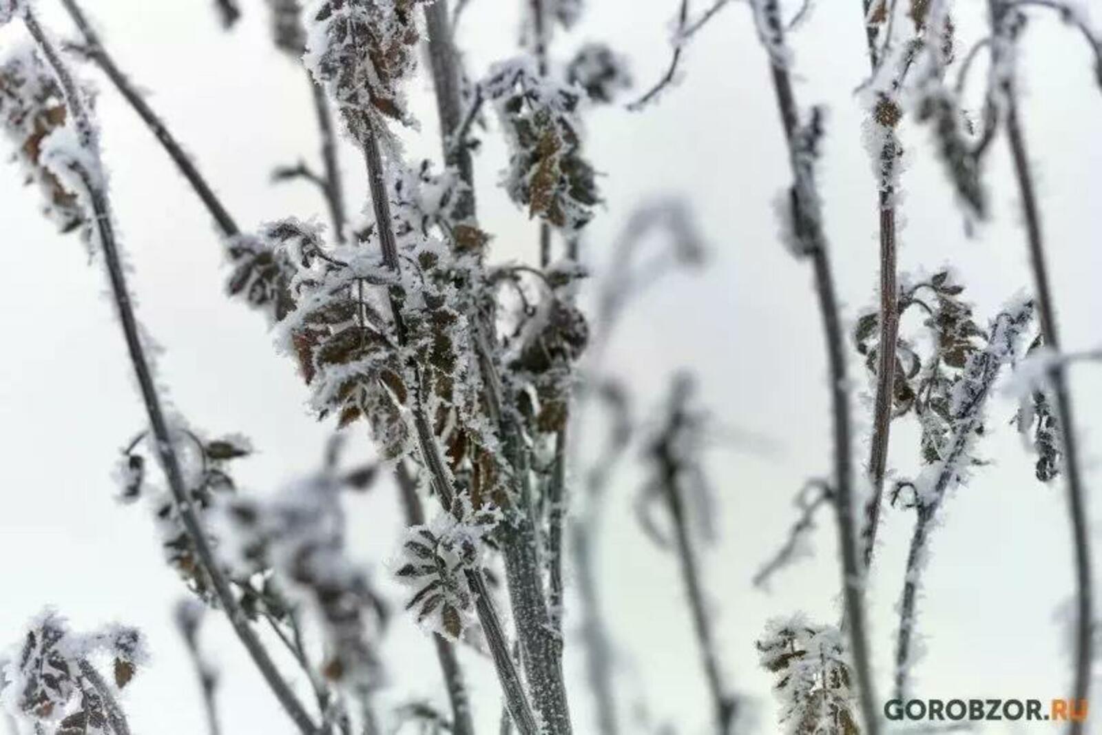 В Башкирии резко похолодает