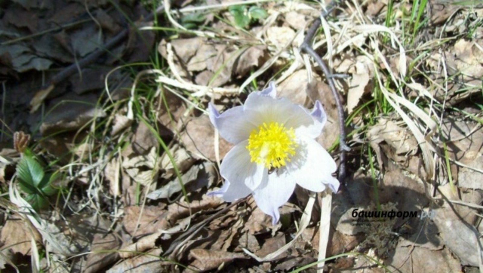 В Башкирии в марте и первой половине апреля ожидается аномальная погода