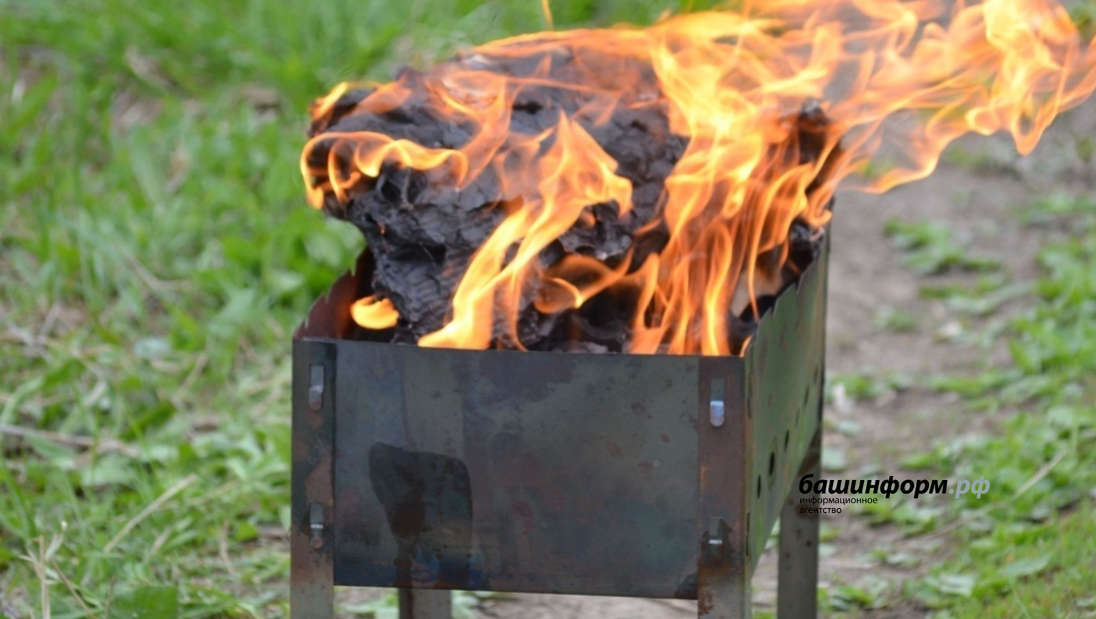 Жителям трех районов Башкирии запретили ходить в лес