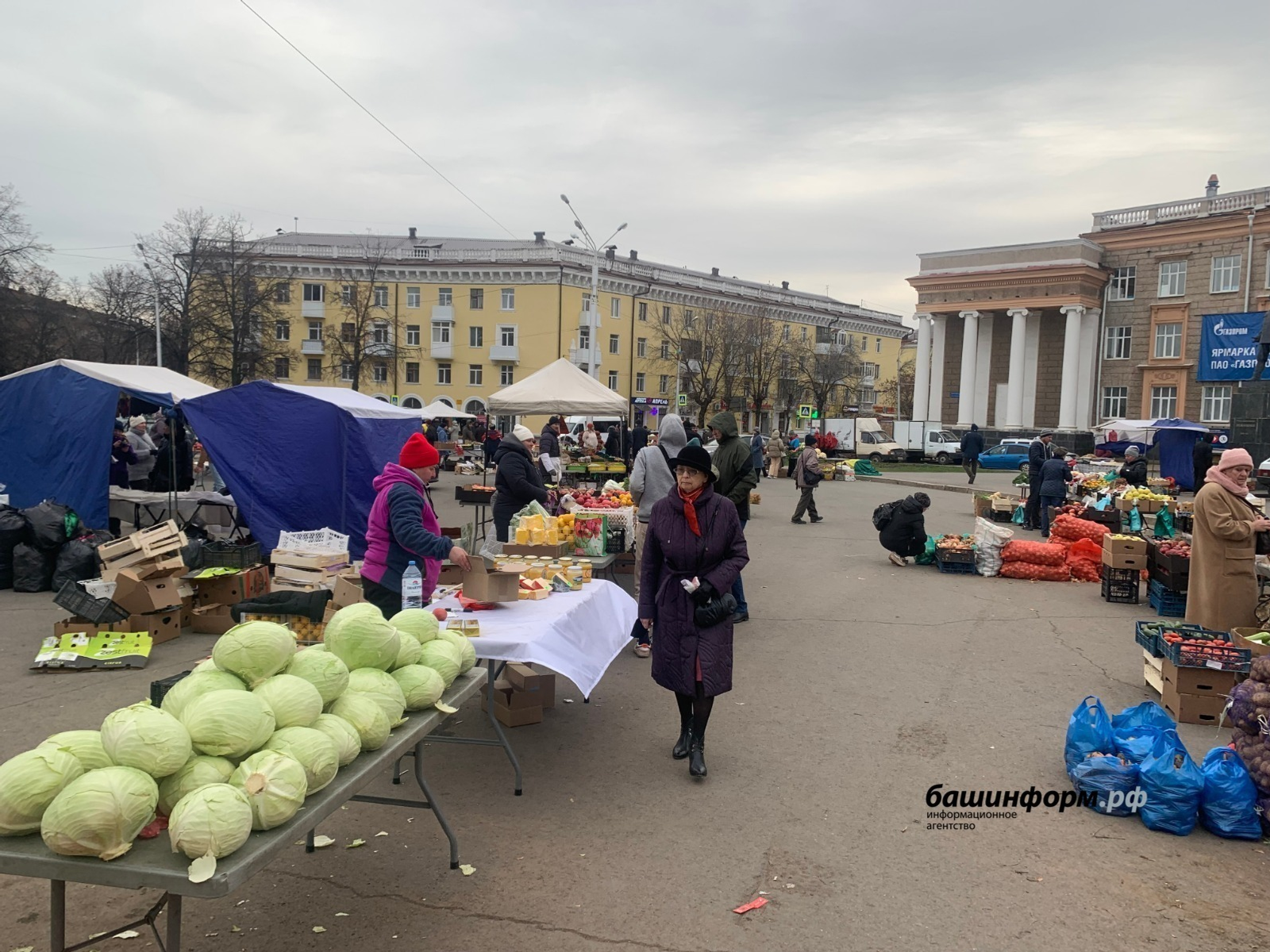 Сельхозярмарки пройдут в 33 городах и районах Башкирии