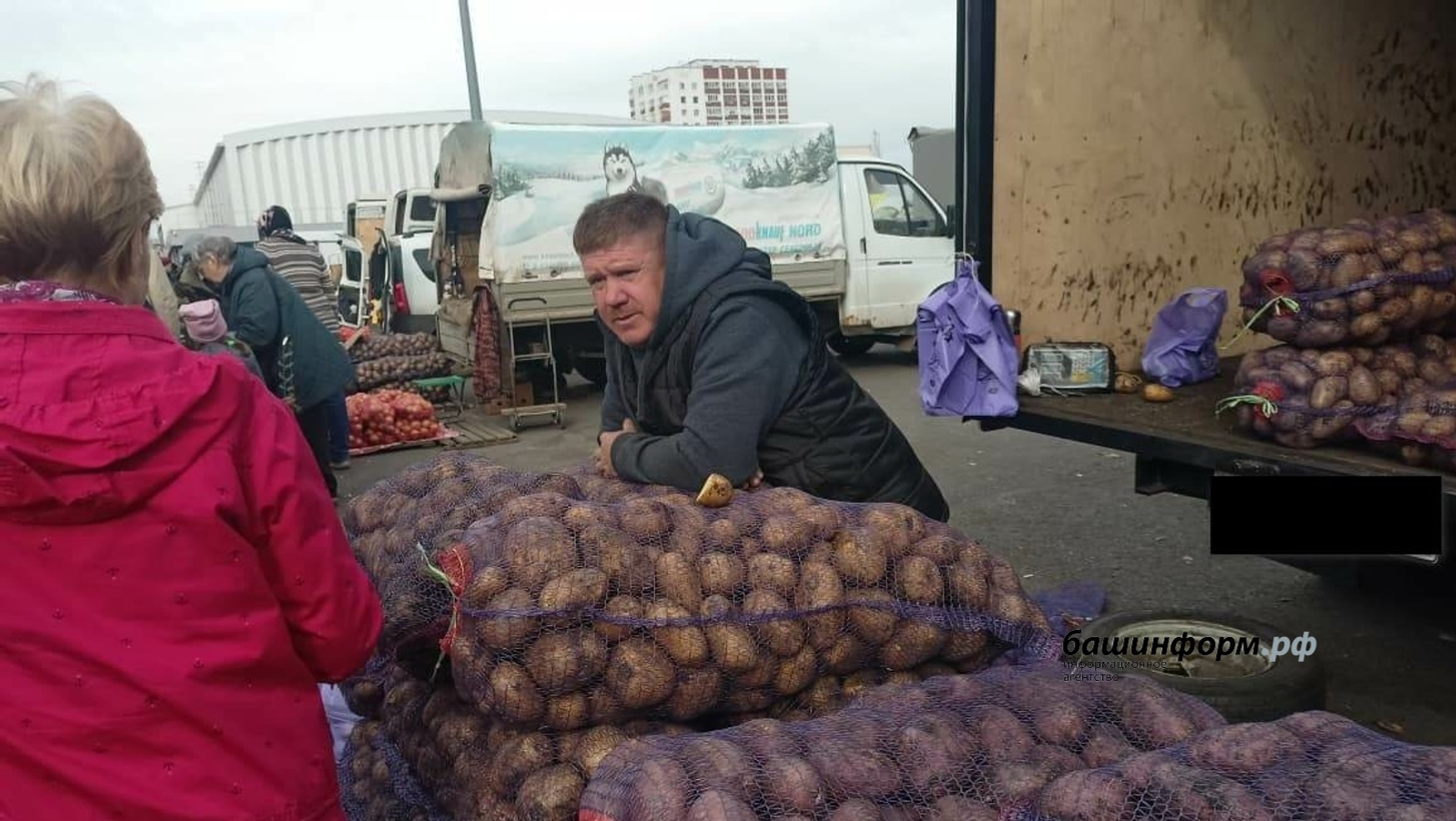 В 30 городах и районах Башкирии организуют сельскохозяйственные ярмарки